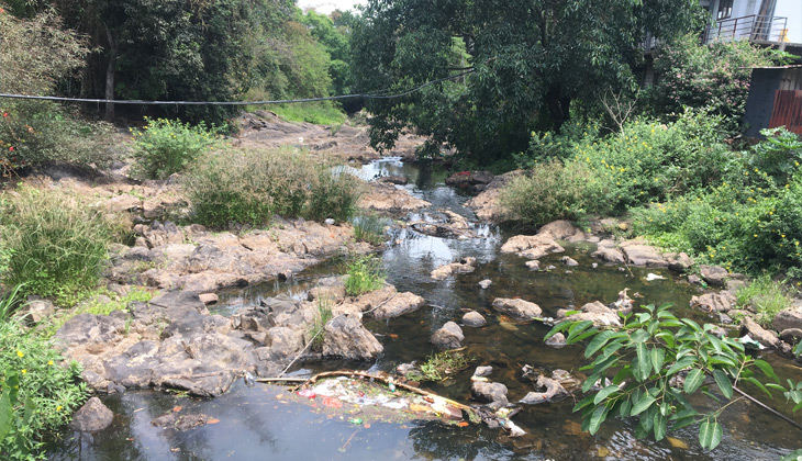 Water Shortage Hits Kootar Area: Plantations…